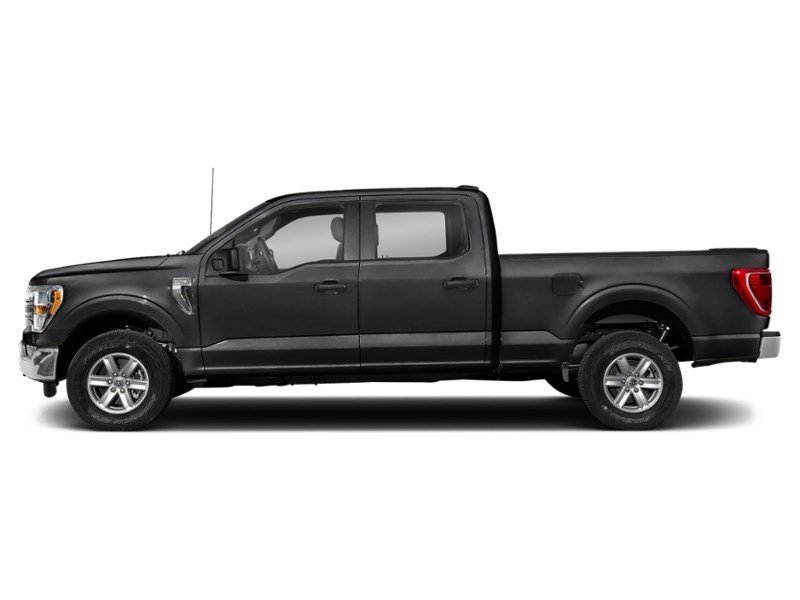 2023 Ford F-150 XLT | 4X4 | 5.0L | 157 | 360 | ADPTV CRUISE | 20s Agate Black Metallic  Shot 3