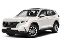 2023 Honda CR-V EX-L AWD Platinum White Pearl  Shot 1