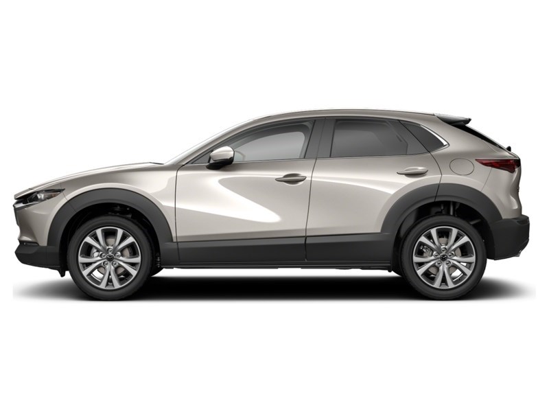 2024 Mazda CX-30 GS AWD Platinum Quartz Metallic  Shot 31
