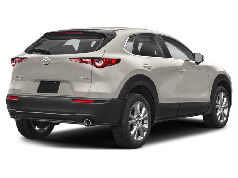 2024 Mazda CX-30 GS AWD Platinum Quartz Metallic  Shot 28