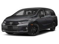 2026 Honda Odyssey Black Edition Auto