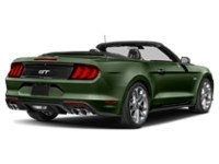 2022 Ford Mustang GT Premium Convertible Eruption Green Metallic  Shot 49