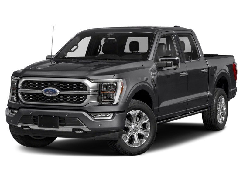 2023 Ford F-150 Platinum 4WD SuperCrew 5.5' Box Agate Black Metallic  Shot 1