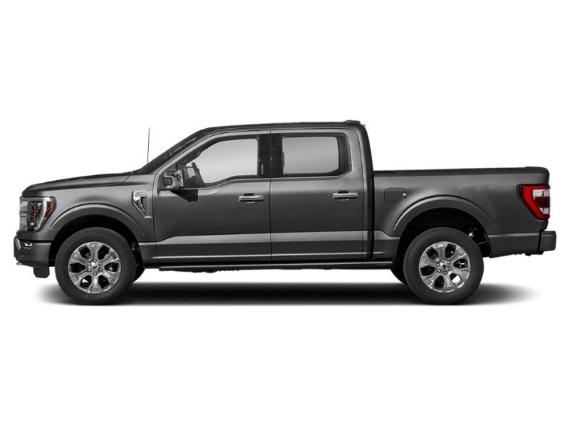 2023 Ford F-150 Platinum 4WD SuperCrew 5.5' Box Agate Black Metallic  Shot 3