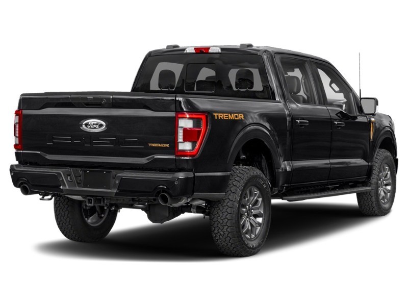 2022 Ford F-150 Tremor | 4X4 | 3.5L | 402A | ROOF | NAV | 360 Agate Black Metallic  Shot 6