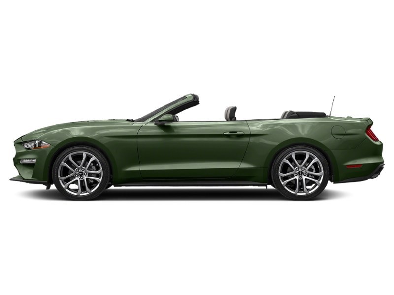 2022 Ford Mustang EcoBoost Convertible Eruption Green Metallic  Shot 27