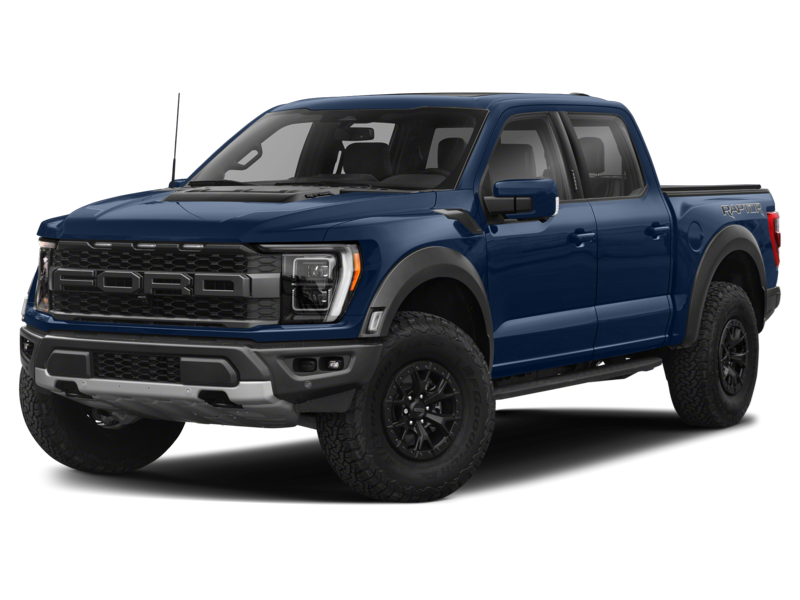 Raptor