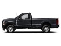 2026 Ford Super Duty F-250 SRW XL 4WD Reg Cab 8' Box Agate Black Metallic  Shot 55