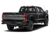 2024 Ford Super Duty F-350 DRW Platinum 4WD Crew Cab 8' Box Agate Black Metallic  Shot 34