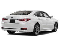 2023 Lexus ES 250 ES 250 Auto Eminent White Pearl  Shot 6