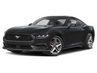 2026 Ford Mustang EcoBoost Fastback Colour Shot 1