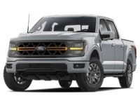 2025 Ford F-150 Tremor 4WD SuperCrew 5.5' Box Iconic Silver Metallic  Shot 1