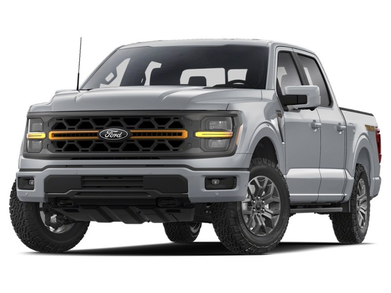2025 Ford F-150 Tremor 4WD SuperCrew 5.5' Box Iconic Silver Metallic  Shot 3