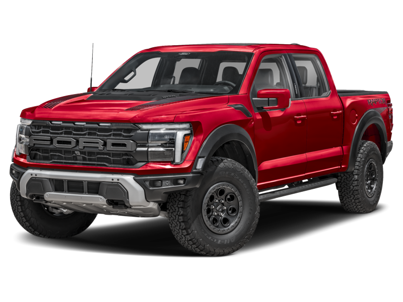 Raptor