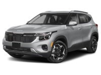 2025 Kia Seltos EX AWD Steel Grey  Shot 1