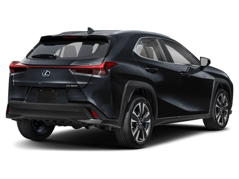 2025 Lexus UX 300h UX 300h CVT Caviar  Shot 6