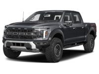 2026 Ford F-150 Raptor | 4X4 | 3.5L | 802A | ROOF | SPRAY-IN Agate Black Metallic  Shot 1